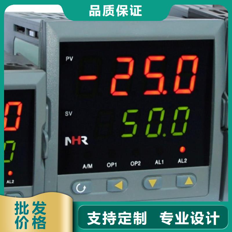 NHR-5310A-55/X-0/0/2/X/1P-A优良品质本地经销商