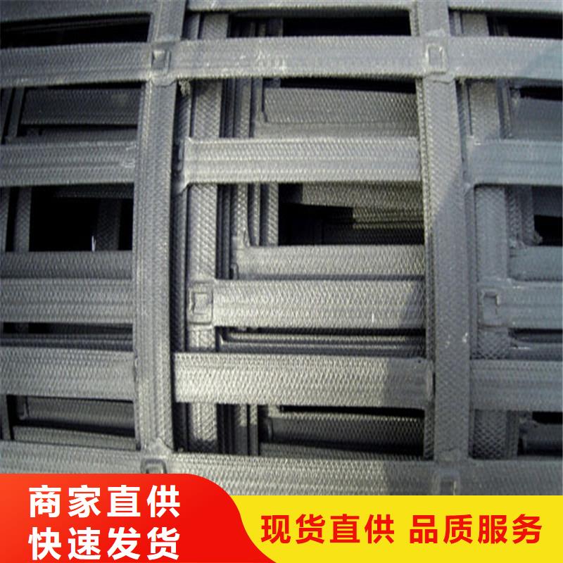 ​惠州钢塑土工格栅厂家