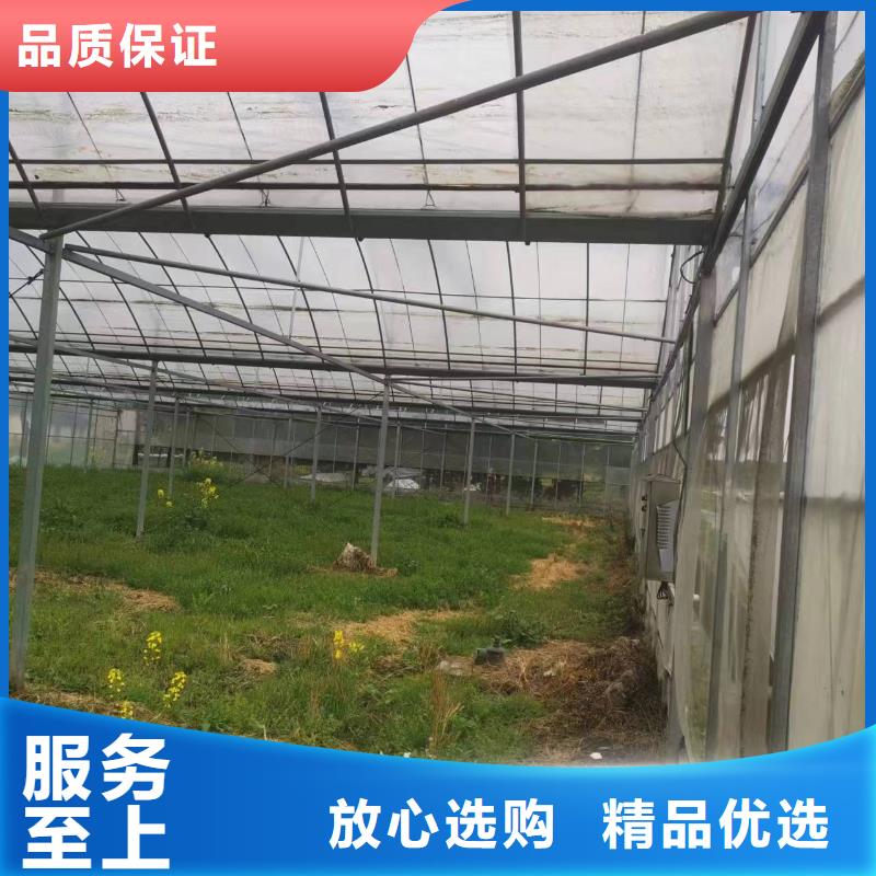 吉林省吉林龙潭区8米跨度连体温室大棚厂家供应