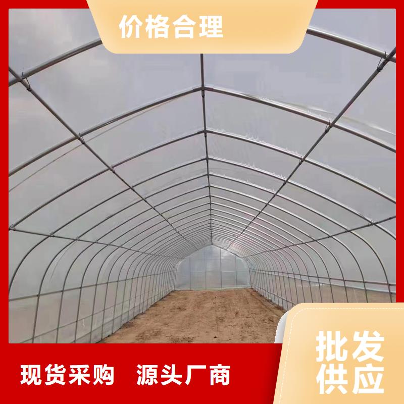 陕西省商洛洛南县蔬菜大棚管多少钱一亩实体大厂