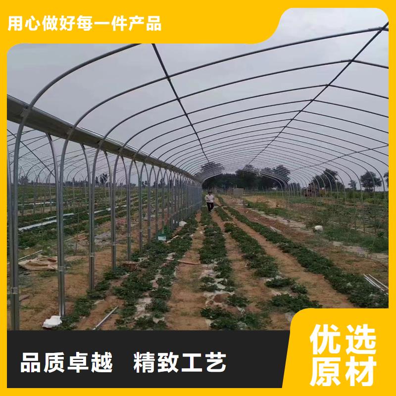 四川省遂宁蓬溪县温室和大棚的建设费,连栋比图片2023-8-28