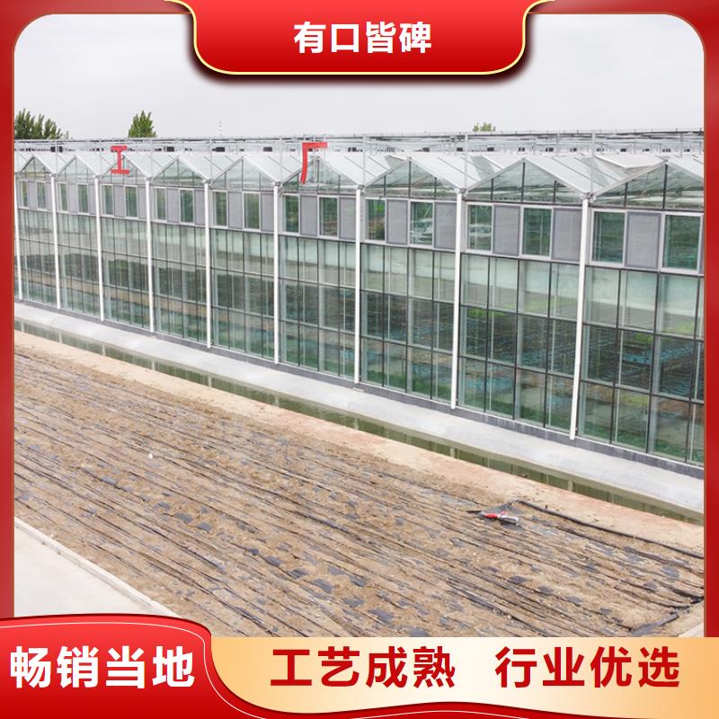 广东省揭阳揭东区江苏温室钢架大棚厂种类齐全2023-8-28