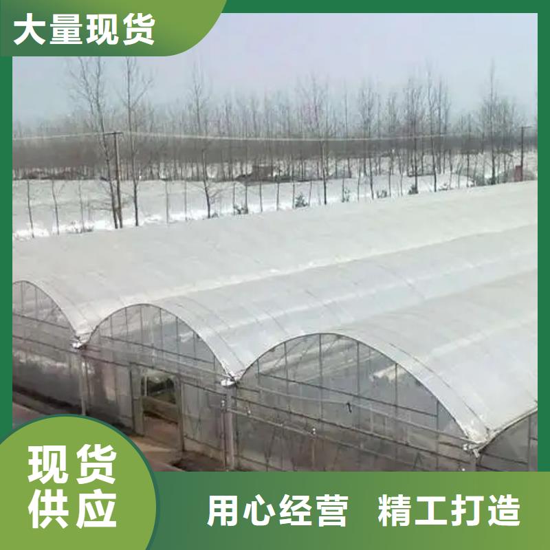 湖北省武汉市硚口区GP825单体蔬菜大棚生产基地