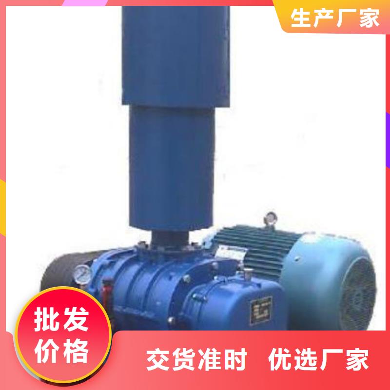 效率高洗煤专用罗茨风机LFSR250广安