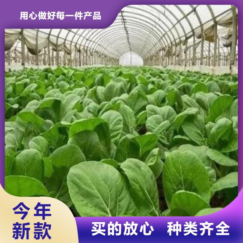 广东汕头澄海鸡粪农肥使用说明诚信经营质量保证