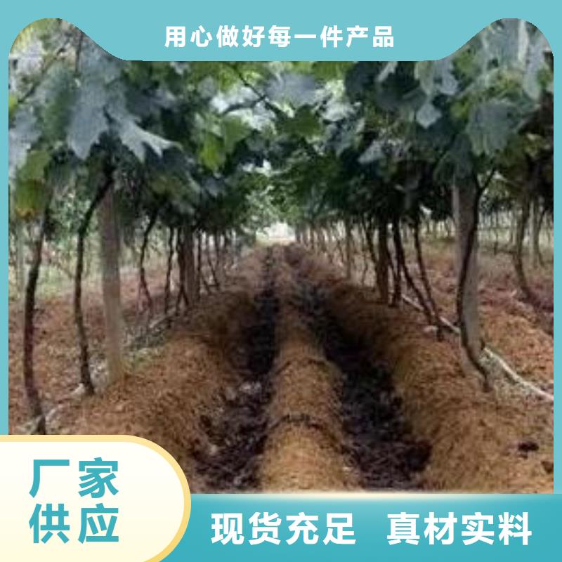 涿州涿鹿张家口发酵有机肥平衡施肥