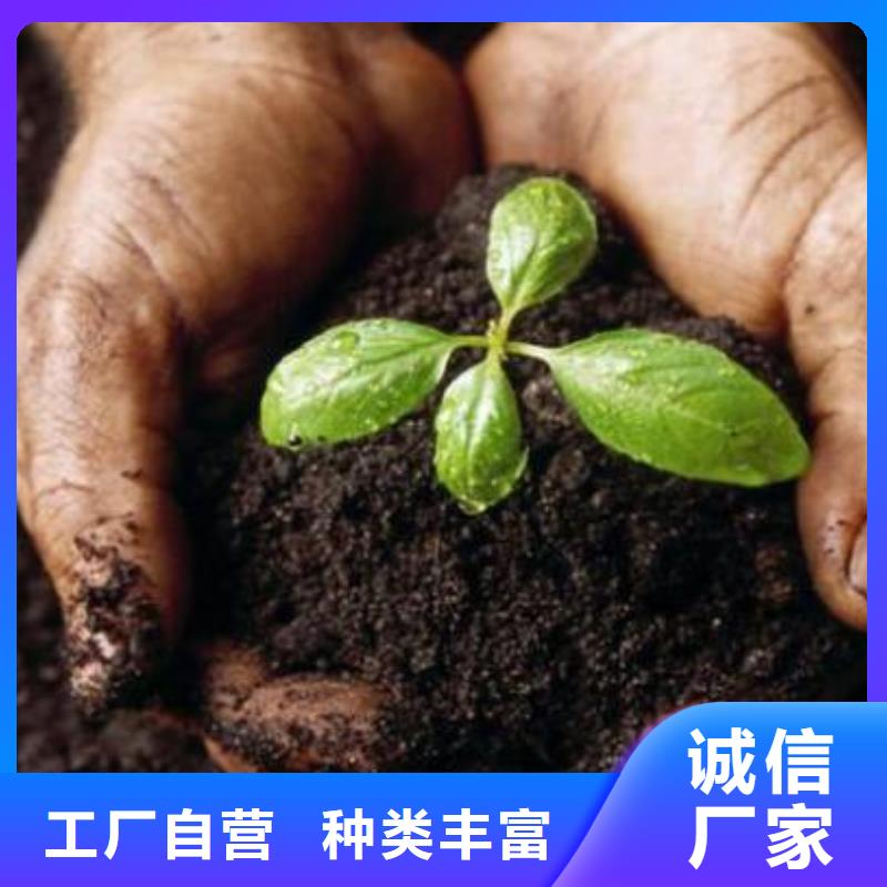 济南济阳发酵羊粪农肥使用说明