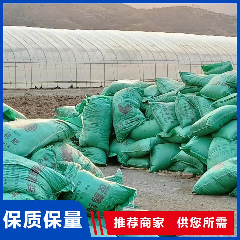 河北邯郸磁县羊粪有机肥增加作物产量