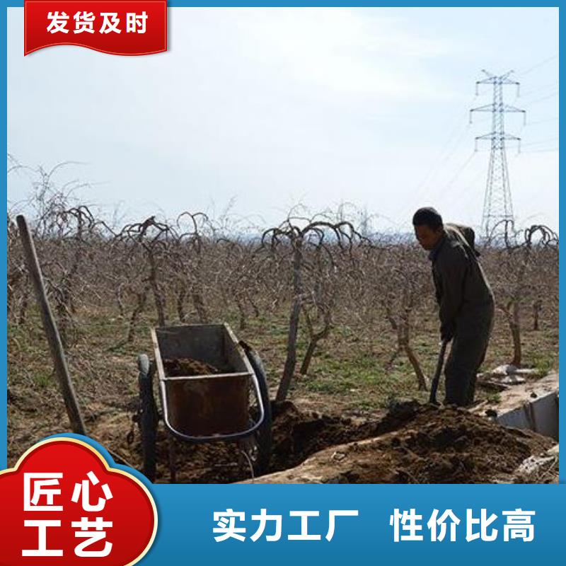 淄博海南三亚鸡粪有机肥有利果树生长