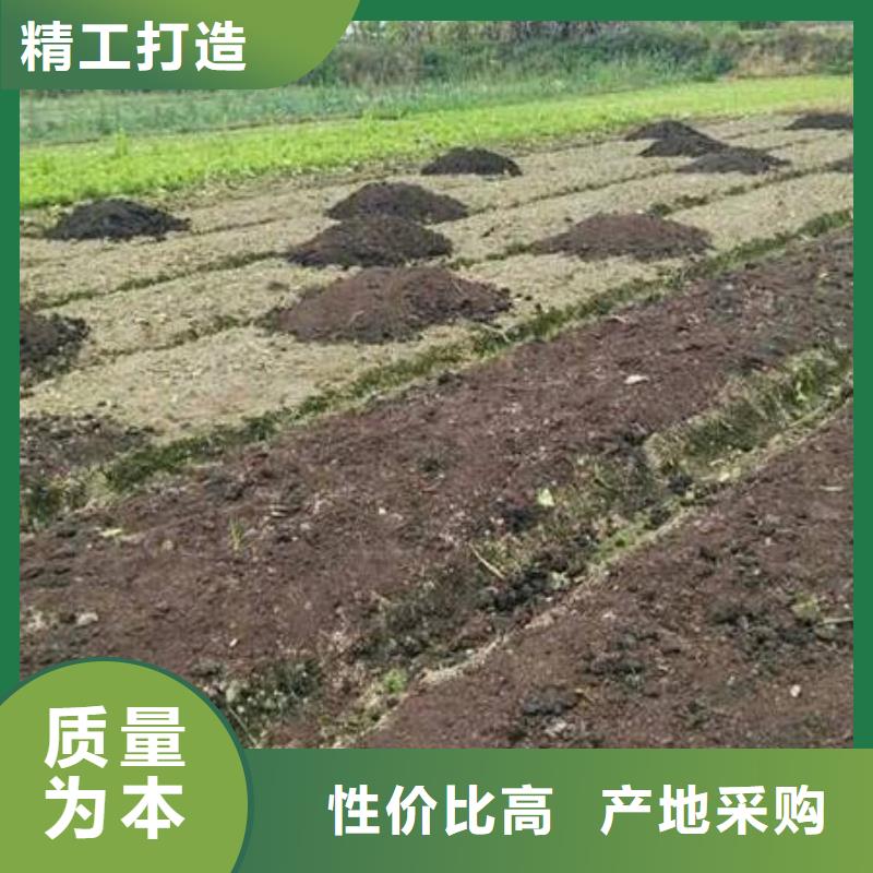 让蔬菜长的更好福建漳州漳浦鸡粪有机肥专注产品质量与服务
