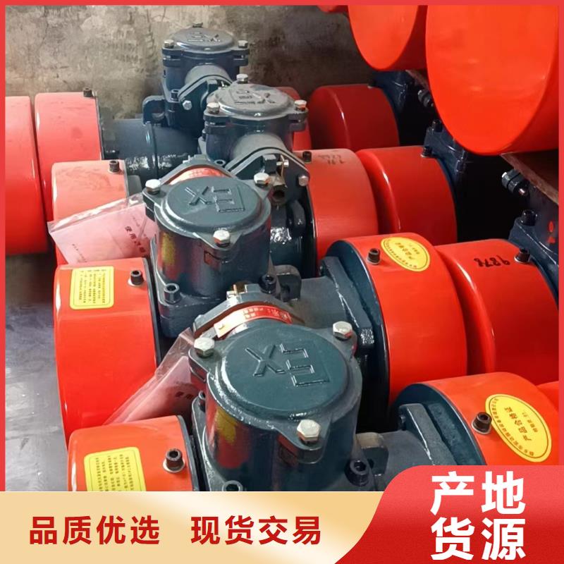 汉中留坝YBZD2.5-6防爆型振动电机煤矿防爆振动电机可定制