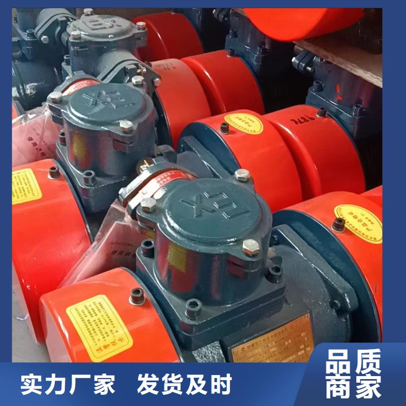 青海海北振动电机正确安装方法实力厂家振动电机生产厂家