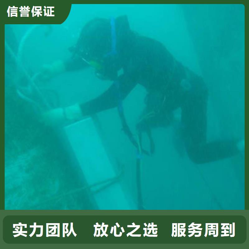 水下海生物清理服务公司多年经验