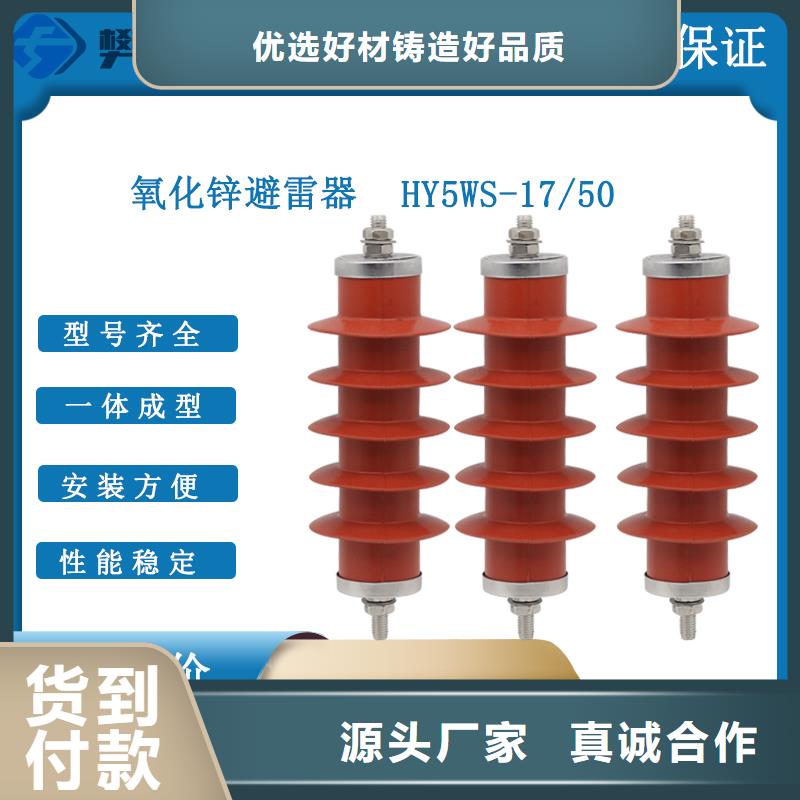 JSY-10/600放电计数器 南京