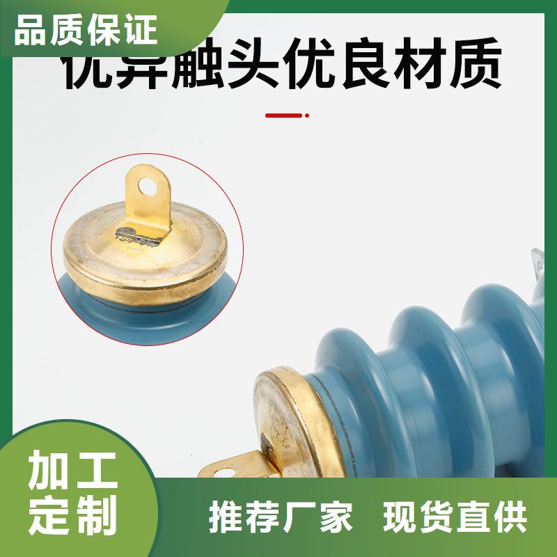金属氧化物避雷器 HY5WS2-10/27安庆