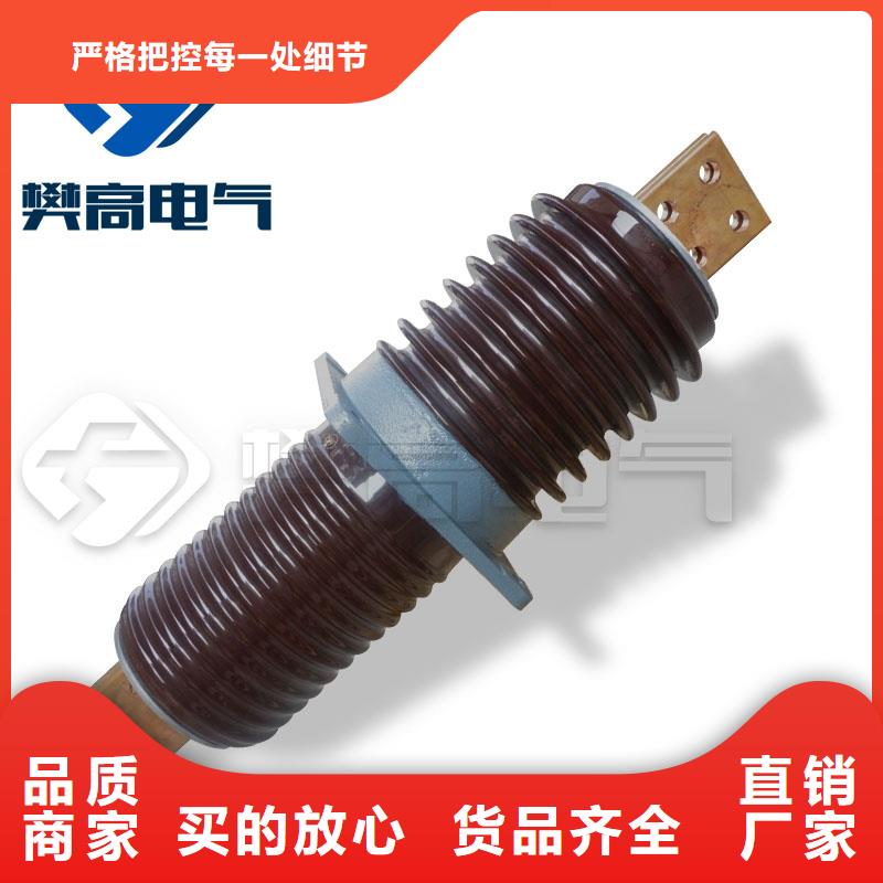 CWWC-40.5/1250A阳江陶瓷高压托管