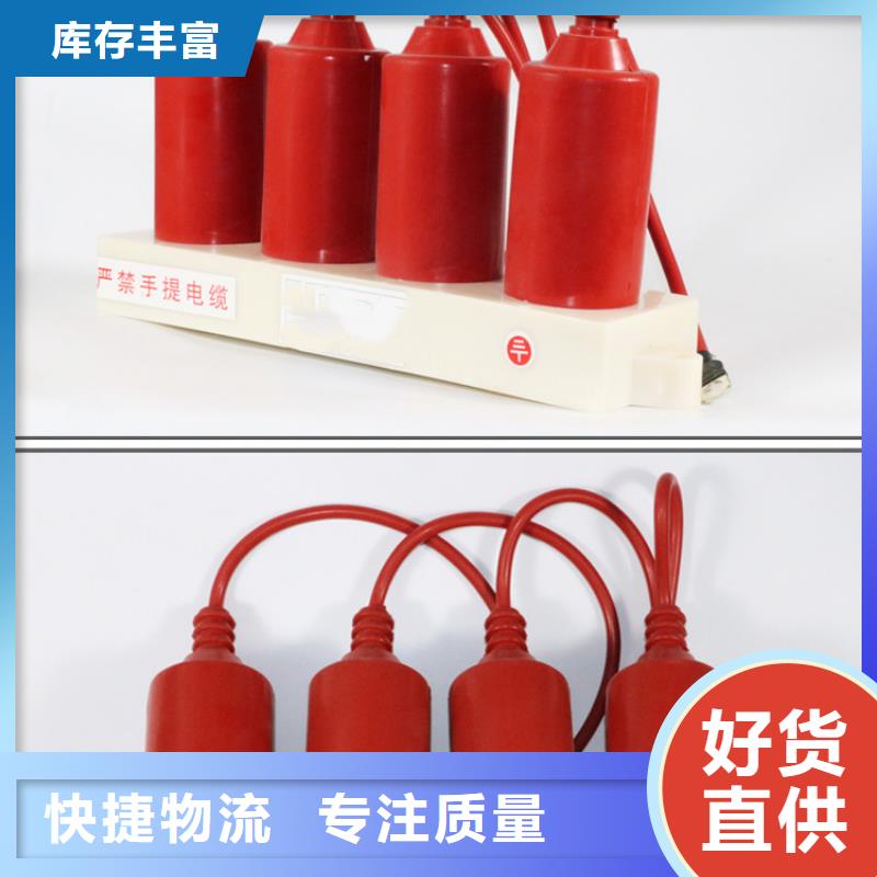 惠州HY5WR-51/150*51/134   过电压保护器樊高电气