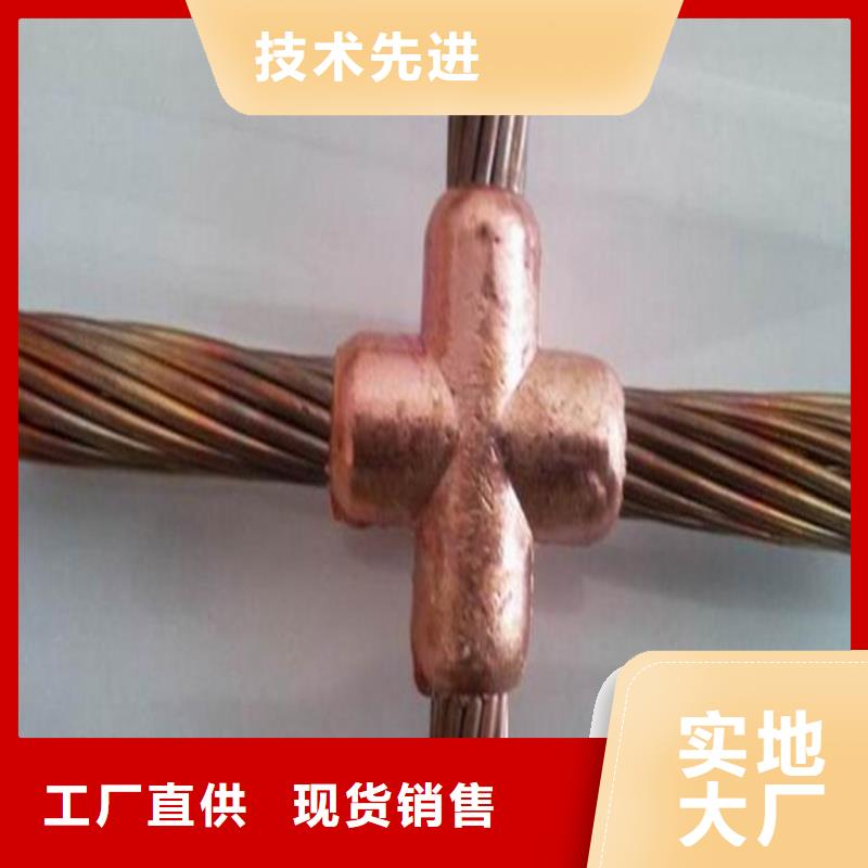 沧州接地铜绞线50㎜实力老厂