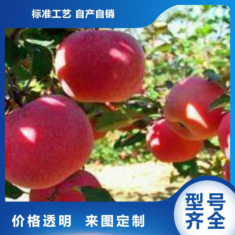 临沧
红富士苹果价格行情
