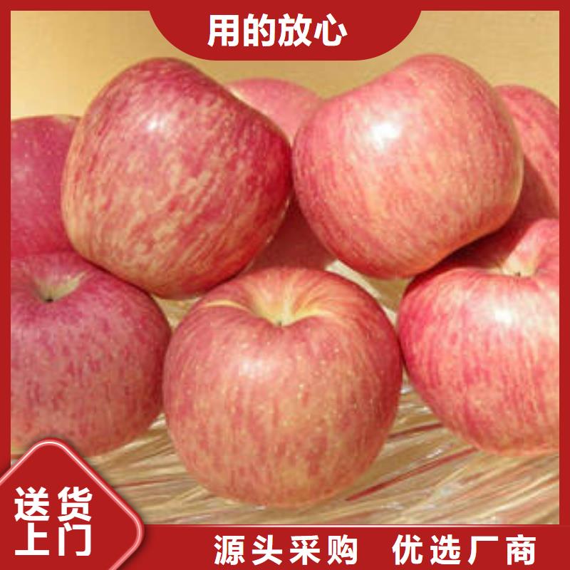 鹤壁
红富士苹果技术服务