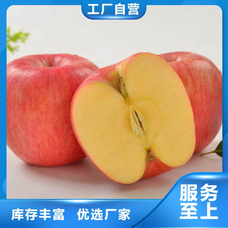 天津红富士苹果红富士苹果产地海量库存