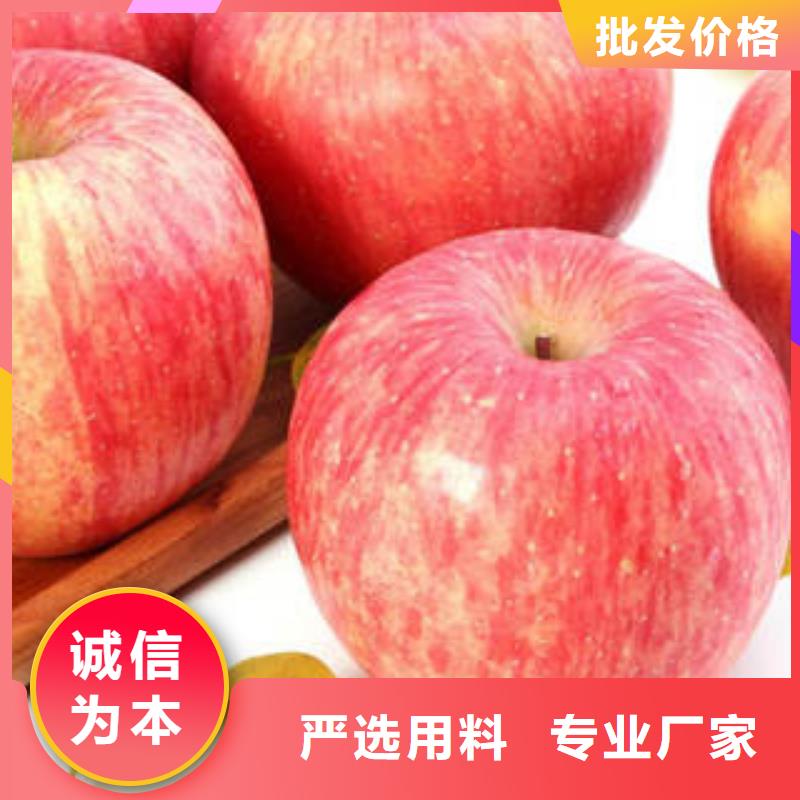红富士苹果苹果种植基地客户满意度高可定制