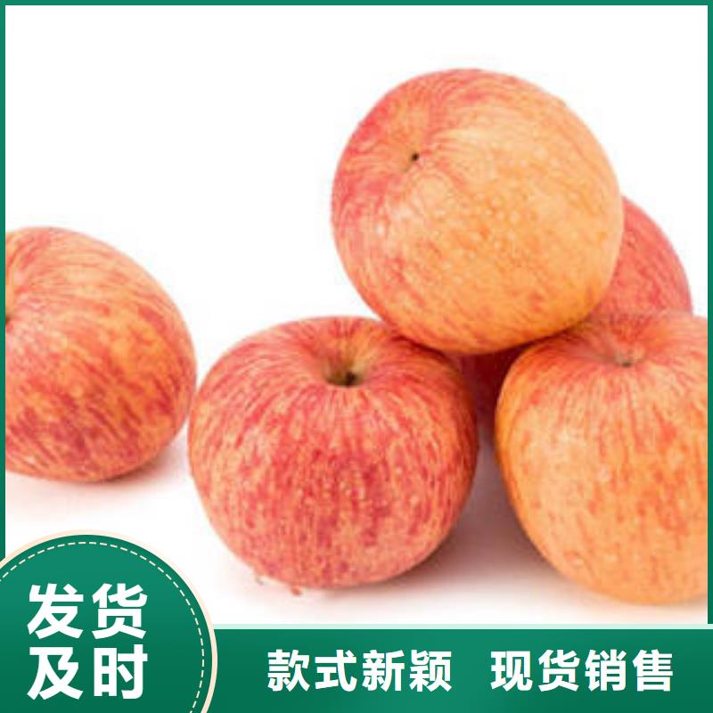 【红富士苹果】苹果种植基地为品质而生产厂家案例