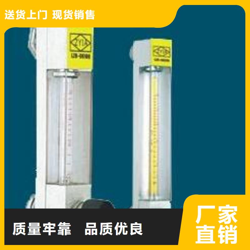 迪庆SV30-25天然气玻璃转子流量计精度