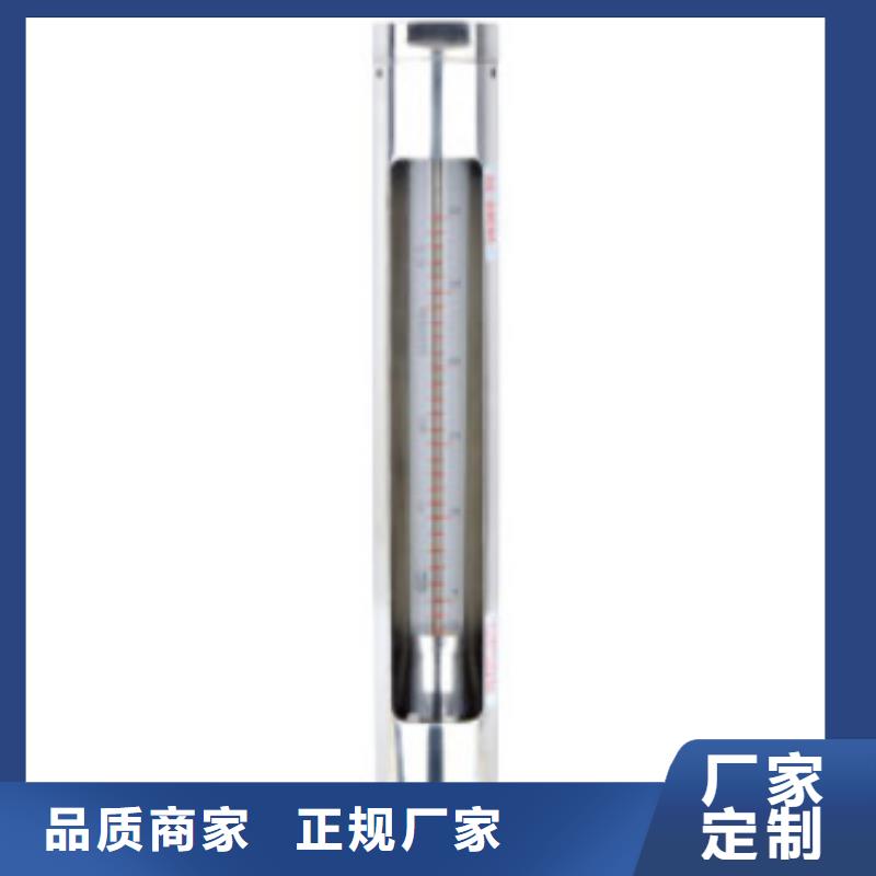 缙云VA10-25F氨气玻璃管转子流量计品牌