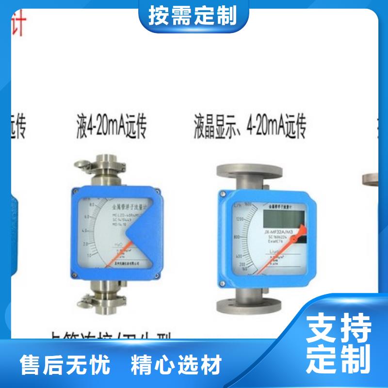 淮南LZ-100防爆型金属管转子流量计厂家