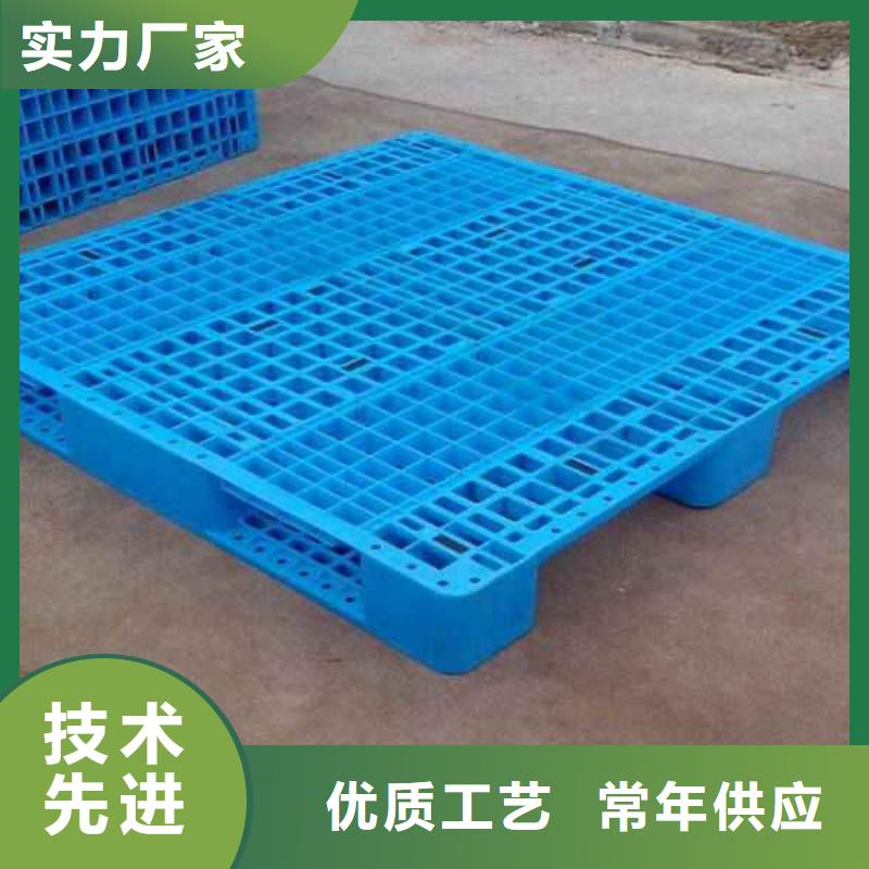 汤原县塑料托盘供应