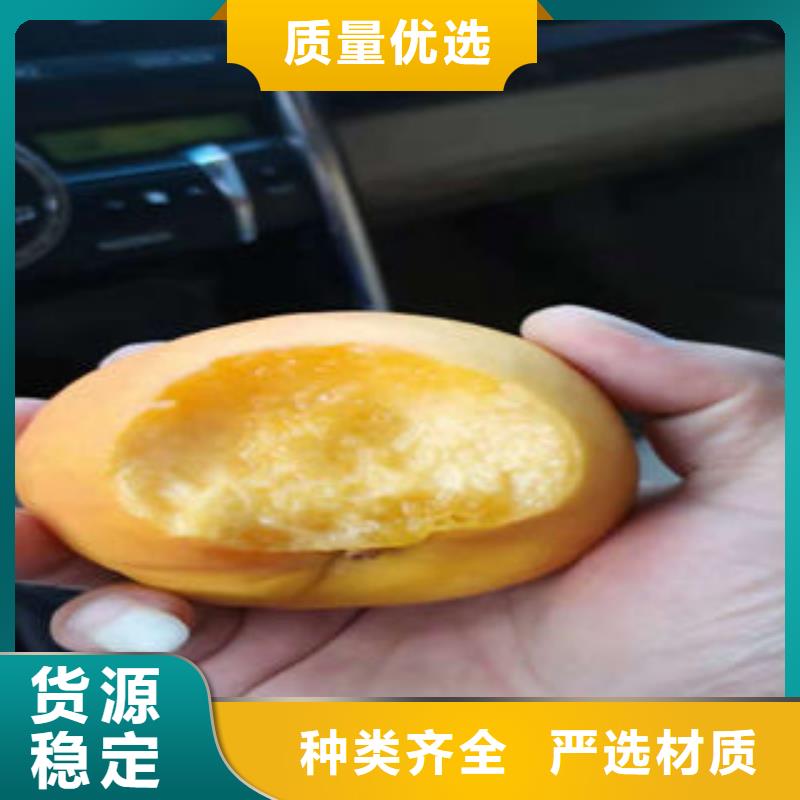 亳州川中岛桃树苗1.2厘米