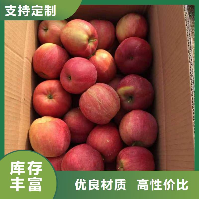 苹果苗花椒苗专业生产品质保证老品牌厂家