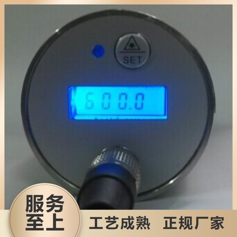 吉安IRTP300L上海伍贺机电高品质