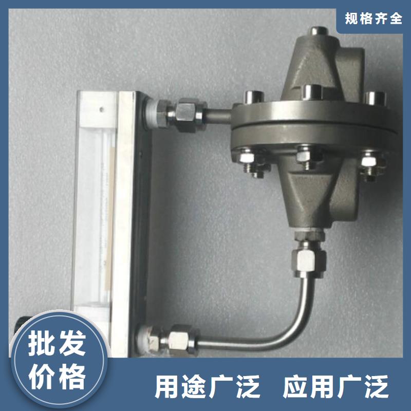 赣州上海伍贺吹扫装置气体最小流量5~50L/h价格合理