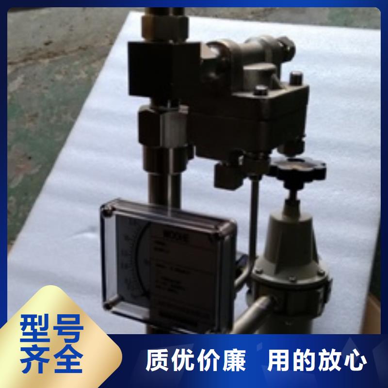 杭州吹扫装置配金属转子流量计质量可靠