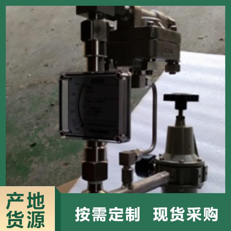 贺州上海伍贺吹扫装置配金属转子流量计质量可靠