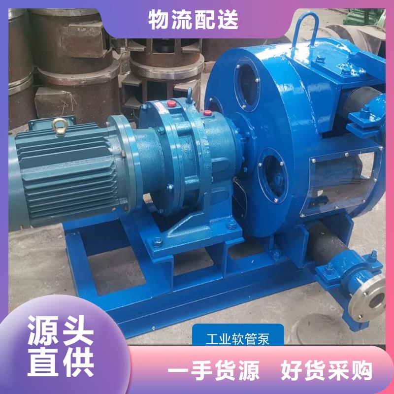 大流量工业软管泵20立方湛江型号