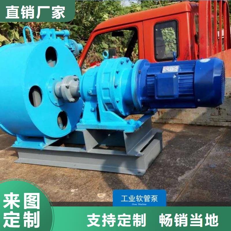 丽江u型软管泵水务公司配套输送泵
