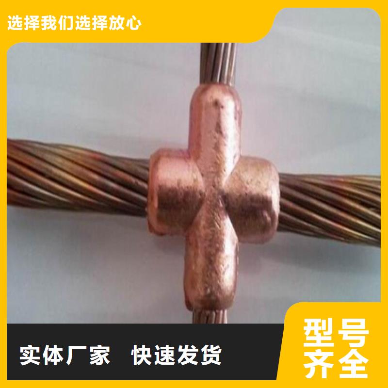 新龙35平方镀锡铜绞线大电流铜绞线软连接本地供应商