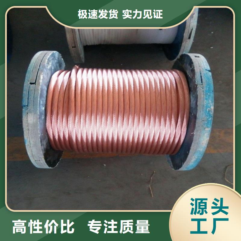 铜绞线紫铜带产品细节参数本地生产商