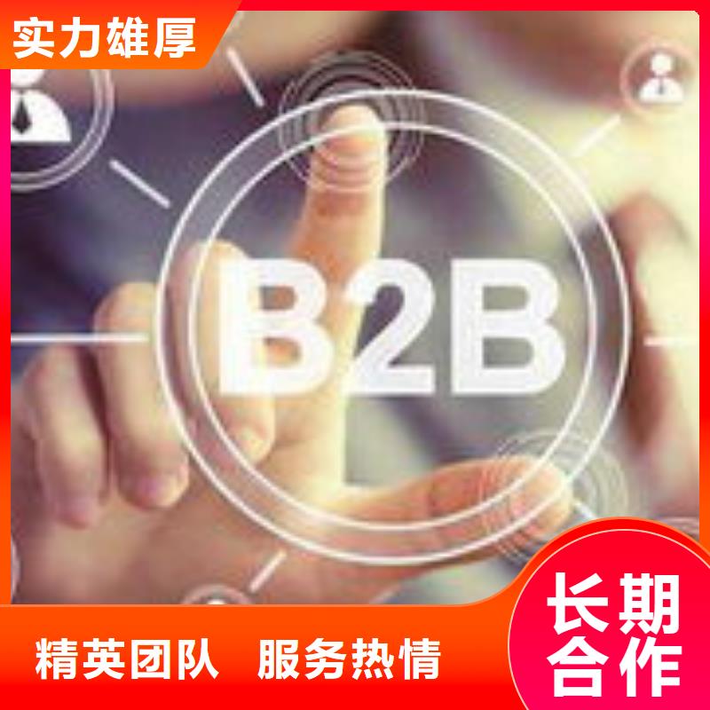 马云网络【b2b平台推广】精英团队当地经销商