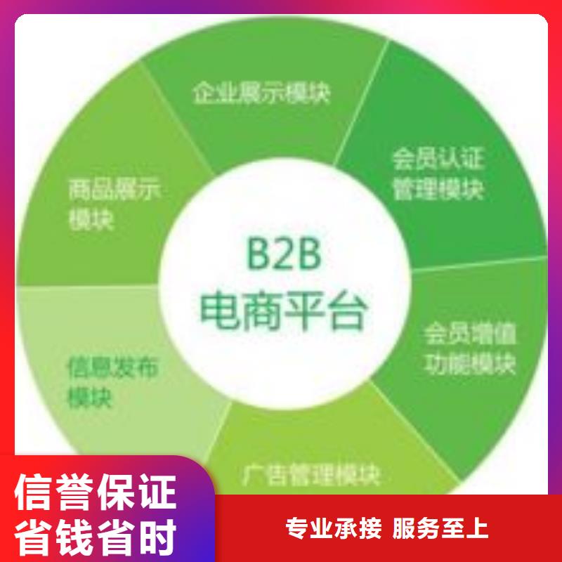 上海b2b平台推广