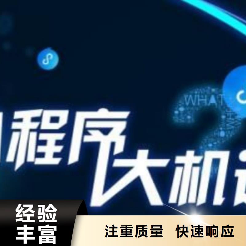 台湾手机百度,网络公司2024公司推荐