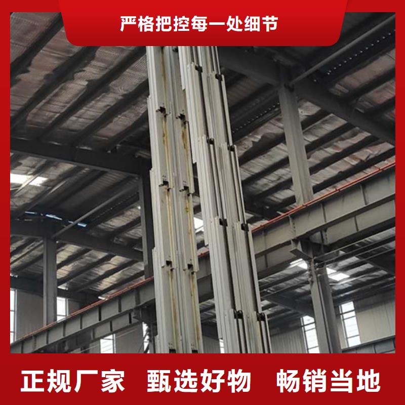 双柱铝合金升降机20米升降机铝合金升降平台代理当地生产厂家