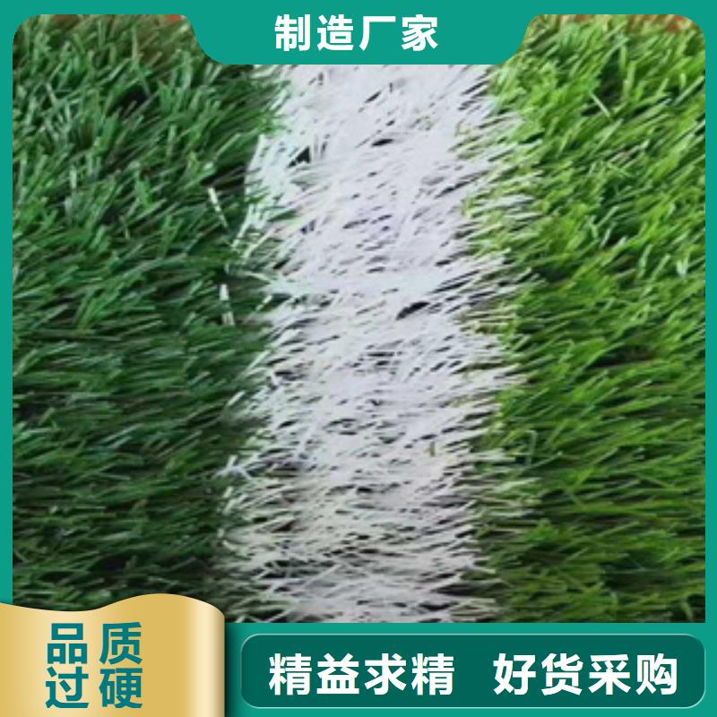 安徽省亳州市混合型塑胶跑道施工