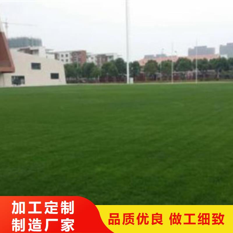四川省广安市硅pu球场橡胶跑道