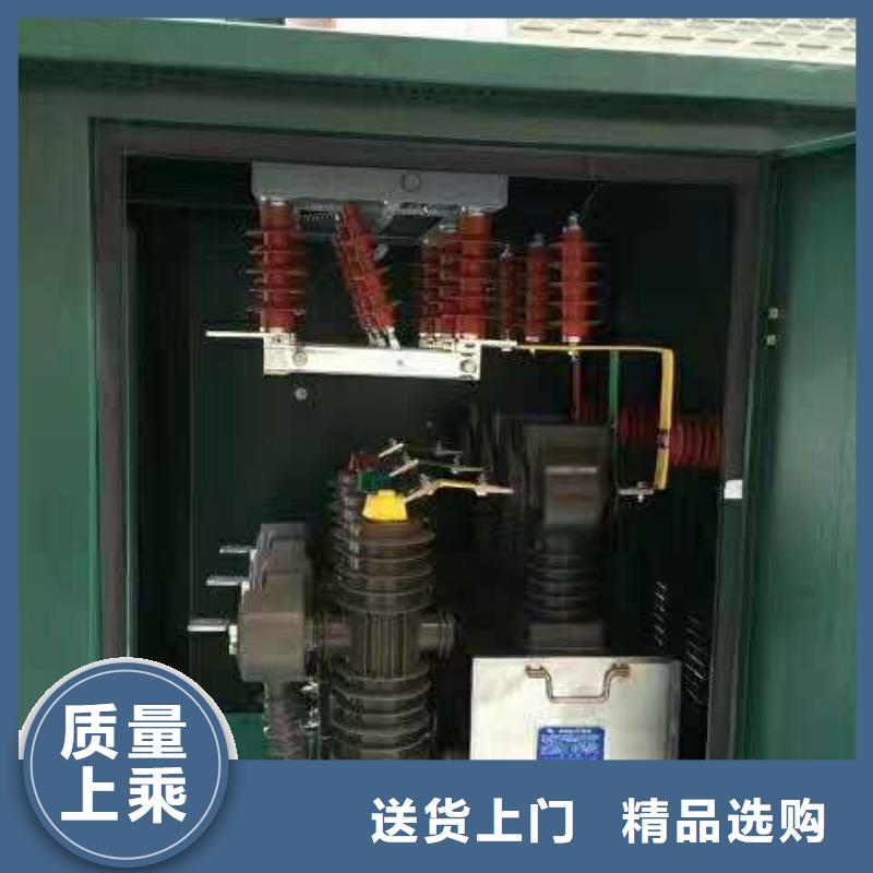 安徽真空断路器XRNP-10KV高压限流熔断器欢迎新老客户垂询