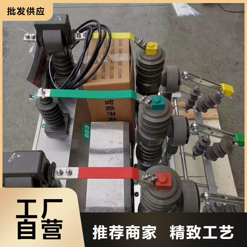 上海德力西高压户外真空断路器ZW32M-12/630-20同城供应商