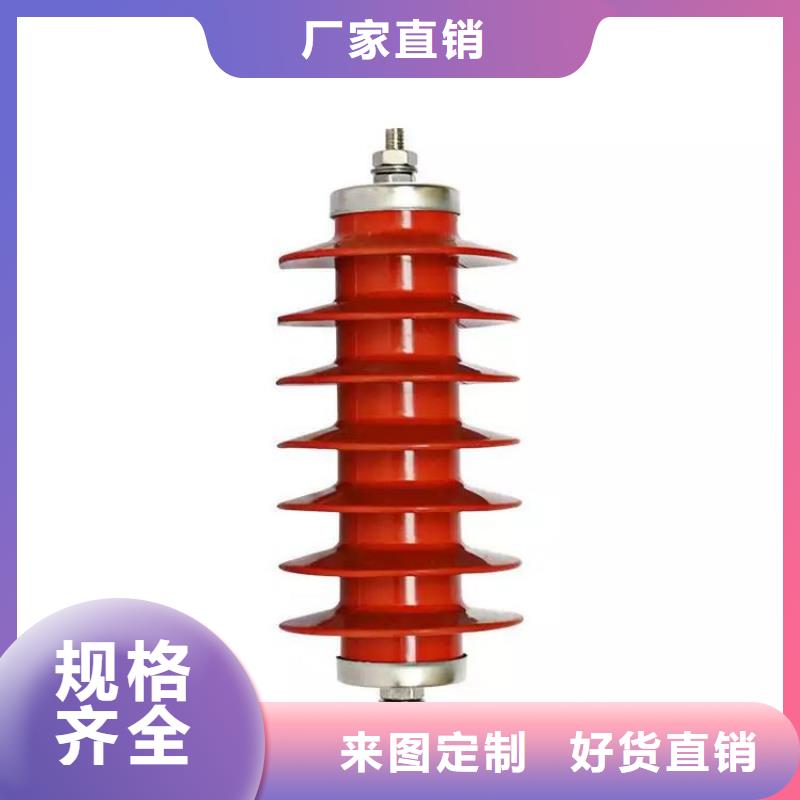 惠州电站型氧化锌避雷器避雷器HY10WZ-192/500